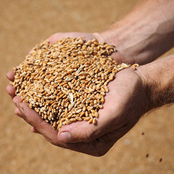  ������� ������� ���� ����� ��������� ������� ������������ ���� 