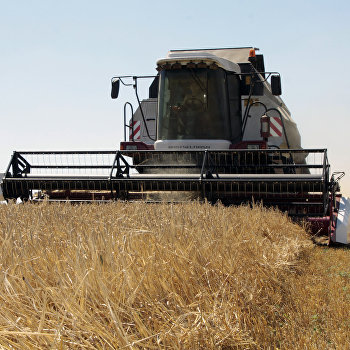 Фото: ukraina.ru