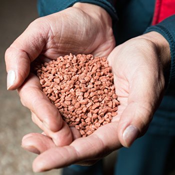  �������� ������� ���� ������� �������� ��������� 