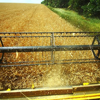  ��������� ��������� ������������� ������������ ���������� ����������� �������� 