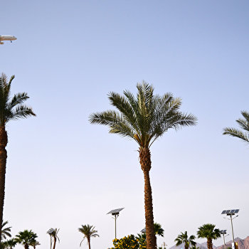  �������� ������� ���������� ������ �������� ��� ������ 