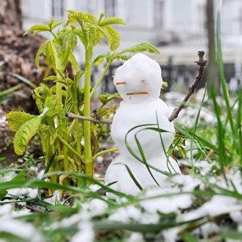  ��������� ��������� ���������� ���� 