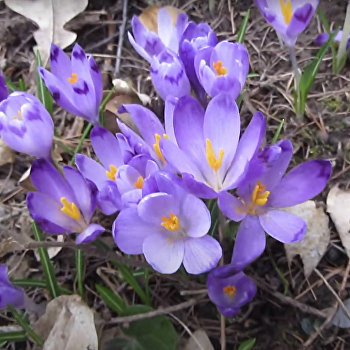 ����: ukraina.ru