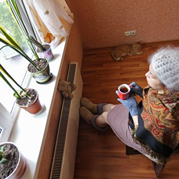  ����� ���������� ���� �������� ������������ ����� 