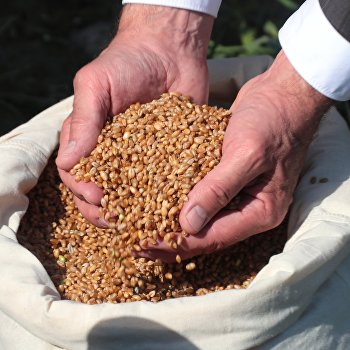  ������ ����� ����� ��������� ������� ������ ������ 