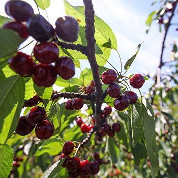  �������� ���������� ��������� ���������� ������ ������� ������� ������������ 