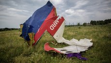 МИД РФ обвинил Гаагу в срыве консультаций по катастрофе MH17