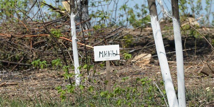 По минным полям Донбасса пойдет «саперный штрафбат»
