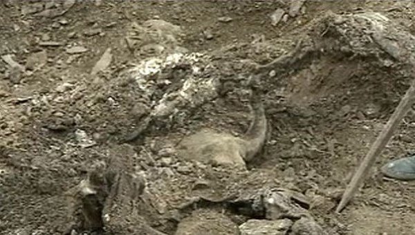 Бойцы 25-й аэромобильной бригады ВСУ зарыли расстрелянных ими людей Бойцы 25-й аэромобильной бригады ВСУ зарыли расстрелянных ими людей