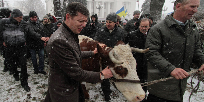 На Украине запретят мясо-молочные продукты домашнего производства На Украине запретят мясо-молочные продукты домашнего производства
