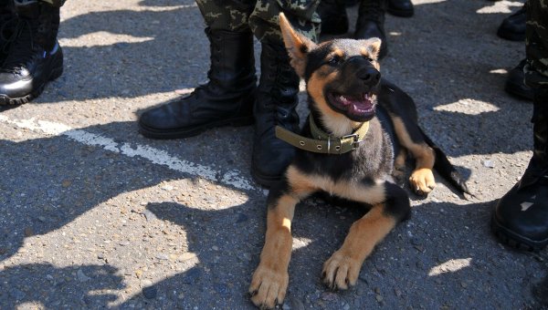 Взрыв в Житомире Взрыв в Житомире