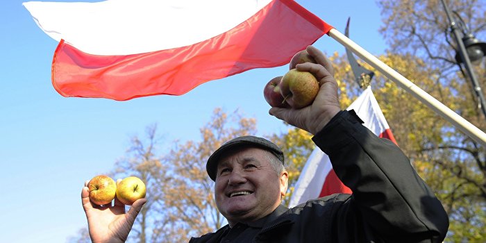 Евросоюз — виртуальная опора Польши Евросоюз — виртуальная опора Польши