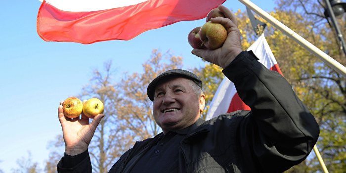 Агрессия лжи: Польша хочет отнять у России День Победы Агрессия лжи: Польша хочет отнять у России День Победы
