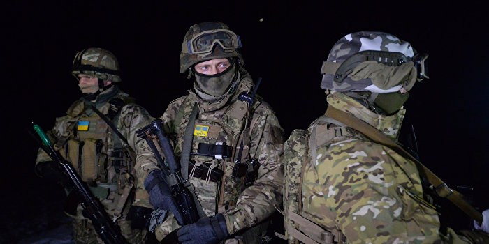 Украинские силовики поедут на обучение в Польшу Украинские силовики поедут на обучение в Польшу