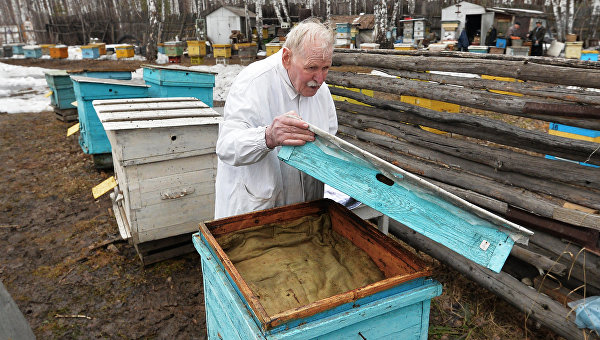 100-летний ветеран Великой Отечественной – о жизни, войне и секретах долголетия 100-летний ветеран Великой Отечественной – о жизни, войне и секретах долголетия