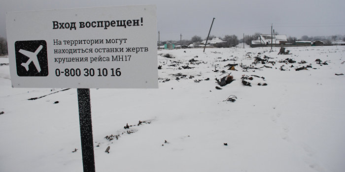 RTL: Нидерланды засекретили 147 документов о крушении MH17 на Украине RTL: Нидерланды засекретили 147 документов о крушении MH17 на Украине