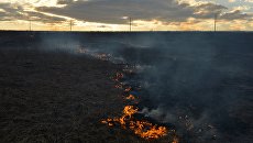 Украинцев в северных областях страны предупредили о чрезвычайной пожароопасности