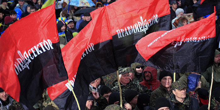 Главный военный прокурор Украины заявил, что «Правому сектору» допустимо нарушать законы Главный военный прокурор Украины заявил, что «Правому сектору» допустимо нарушать законы