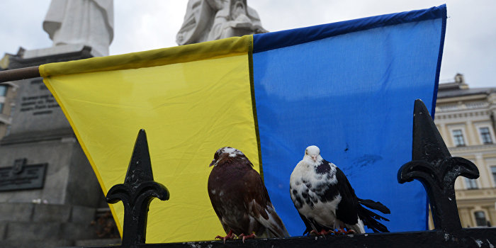 «Украинская Жанна д’Арк» жалуется на пытки в киевской тюрьме «Украинская Жанна д’Арк» жалуется на пытки в киевской тюрьме