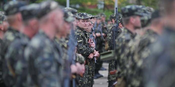 Блогер рассказал, чем кормят военнослужащих на Украине Блогер рассказал, чем кормят военнослужащих на Украине