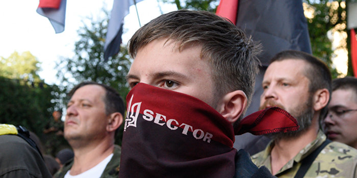 Die Welt: «Правый сектор» взялся за «режим Порошенко» Die Welt: «Правый сектор» взялся за «режим Порошенко»