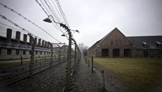 Не сошлись в оценке числа жертв Холокоста: в Освенциме не приняли экспозицию российских музеев