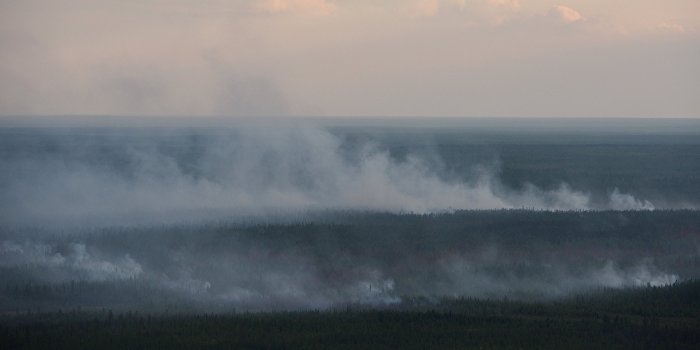 Под Киевом горят 11 торфяников Под Киевом горят 11 торфяников