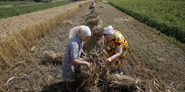 Украина - это огромная плантация с рабами и надсмотрщиками Украина - это огромная плантация с рабами и надсмотрщиками