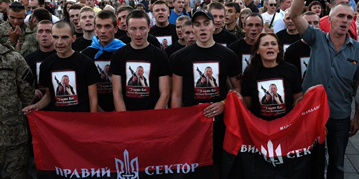 «Правый сектор» посвятил нецензурный клип Порошенко «Правый сектор» посвятил нецензурный клип Порошенко