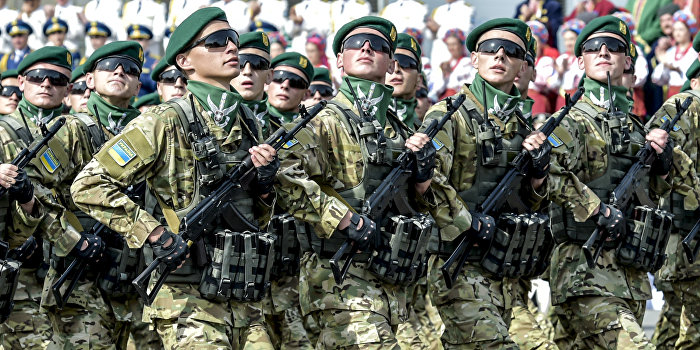 Полторак: Армия Украины за год выросла вдвое Полторак: Армия Украины за год выросла вдвое