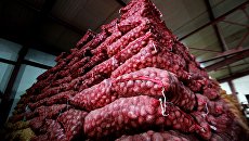 Зрада вместо зразы: картошка на Украине становится деликатесом