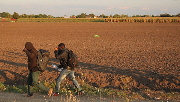 О перспективах Халифата Европейского Союза