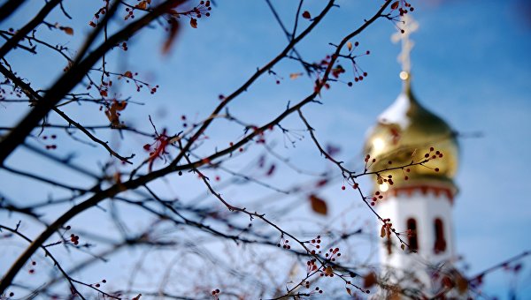 Наследник наследил призывами к войне Наследник наследил призывами к войне