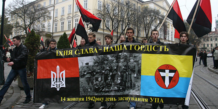 Командир «Призрака» призвал немцев бороться с украинским фашизмом