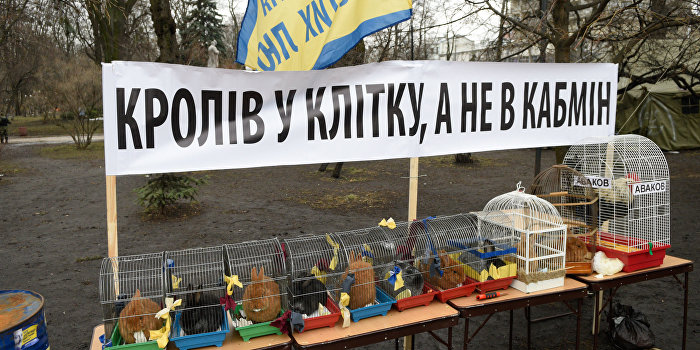 Стадия «политикума»: Фашизм не прошел. Яценюк облажался. Да здравствует Тимошенко?