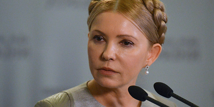 Василий Волга: Нет на Украине более хищного зверя, чем Юлия Тимошенко