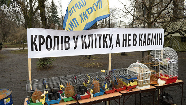 Яценюк: Украина полностью независима от России