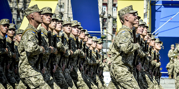 На Украине появится новый род войск На Украине появится новый род войск