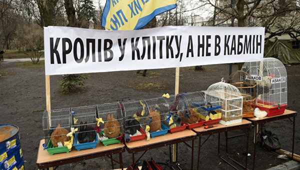 Геноцид под видом реформ: Украина за неделю