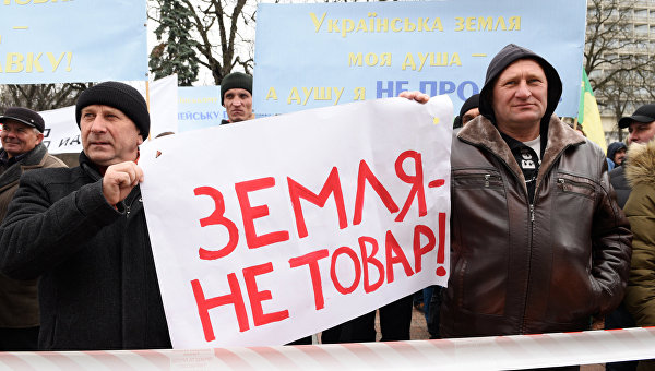 Почему украинская власть так любит советы дилетантов Почему украинская власть так любит советы дилетантов