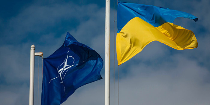 НАТО поможет восстановить территориальную целостность Украины НАТО поможет восстановить территориальную целостность Украины