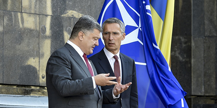 Forbes: Украине не место в НАТО Forbes: Украине не место в НАТО