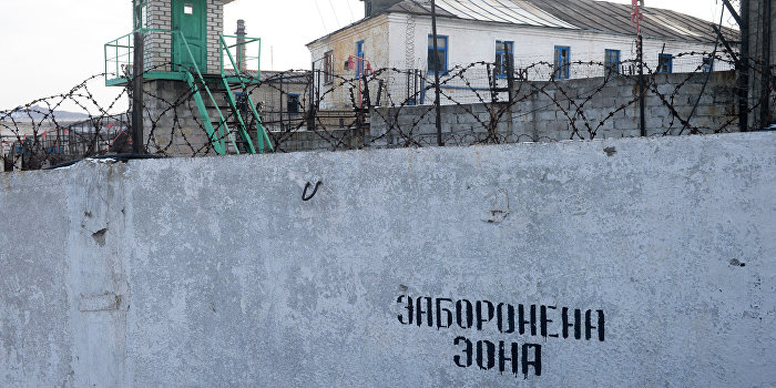 Силовики совершают 70% нарушений прав человека на Украине Силовики совершают 70% нарушений прав человека на Украине