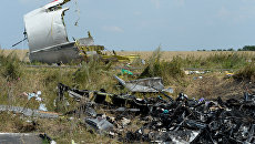 «Ведомости»: Версии катастрофы MH-17 на востоке Украины
