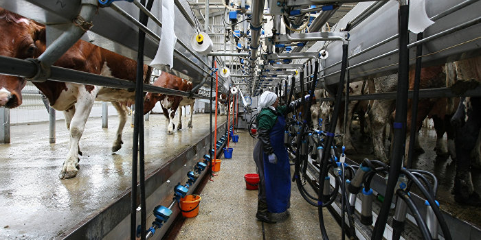 Упадок аграрного сектора на Украине вынудил Ахметова и Новинского закрыть бизнес Упадок аграрного сектора на Украине вынудил Ахметова и Новинского закрыть бизнес