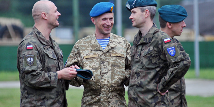 Германия отправит на Украину военных консультантов Германия отправит на Украину военных консультантов