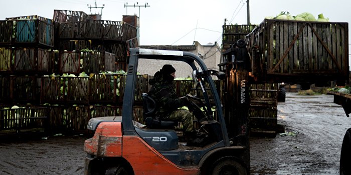 Украина поставила «абсолютный антирекорд» по экспорту сельхозпродукции в ЕС Украина поставила «абсолютный антирекорд» по экспорту сельхозпродукции в ЕС
