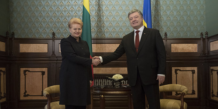 Литва поддержала идею антироссийской коалиции Литва поддержала идею антироссийской коалиции