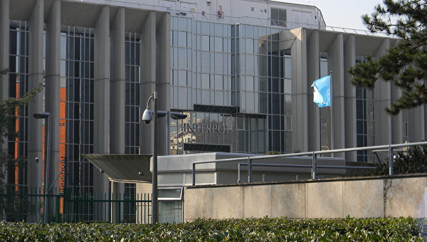 Их не ищет Интерпол: международные сыщики не нашли вины «преступной банды» Януковича Их не ищет Интерпол: международные сыщики не нашли вины «преступной банды» Януковича