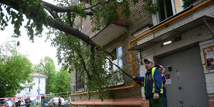 Москву накрыл «ветхозаветный ураган»: есть жертвы Москву накрыл «ветхозаветный ураган»: есть жертвы